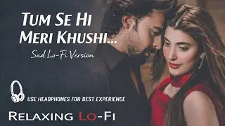 Tumse Hi 💔 | Hindi LoFi Song | Late Night Feelings | Heart Touching Love Song
