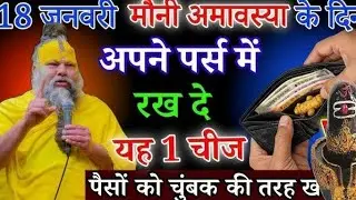18 जनवरी मौनी अमावस्या के दिन अपने बटुए में रख लें यह एक चीज़, जीवन भर नहीं होगी धन  Shri Premanand