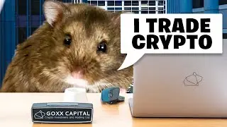 Meet Mr Goxx, the Crypto Trading HAMSTER! HUH?
