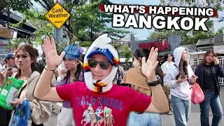 What's Happening In BANGKOK | Is This The Best Season In THAILAND | Cold Season #livelovethailand