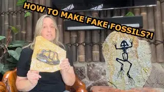 Tutorial: How to make fake fossils?!