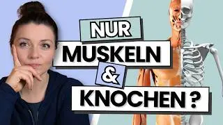 Das menschliche Bewegungssystem – Aufbau & beteiligte Strukturen