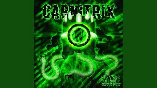 Style Carnitrix