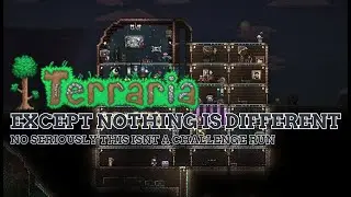 Terraria except there is literally no challenge run