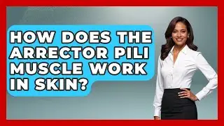 How Does The Arrector Pili Muscle Work In Skin? - All About Anatomy Answers