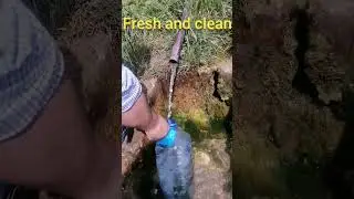 spring water,fresh and clean,safe to drink #springwater