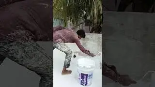 Asian paints Damp proof how to Use / Damp proof Exterior primer /Damp proof waterproofing #shorts