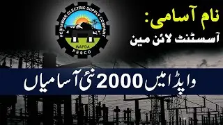 Pesco Wapda l New Coming Soon l Assistant Lineman l 2022
