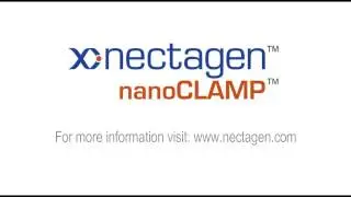 Affinity Purification of SUMO-tagged Protein