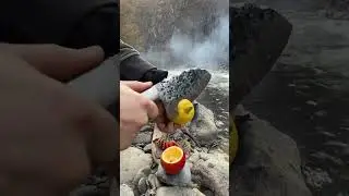 Primitive Cooking:Juicy Ribeye on a Hot River Stone!🔥🥩No Kitchen,No Problem.Just Nature and Meat. 🌊🥩