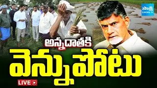 LIVE : CM Chandrababu CHEATING AP Farmers Over Compensation | Ys Jagan Krishna District Tour