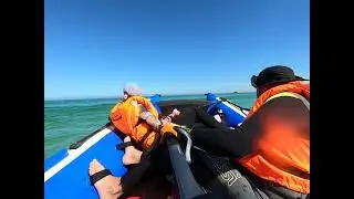 Pencil Duck Mykonos Circuit Solo