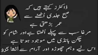 funniest quotes from daily life issues| amazing funny quotes in Urdu|  AN Quotes Official