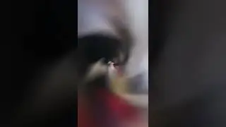 Forma&ccedil;&atilde;o de Plataformas Online
