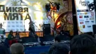 Video035.mp4
