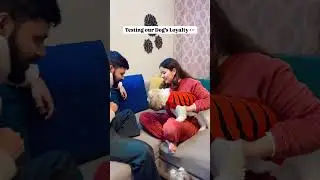Watch till the end&hellip;🐶 #funny #dog #newshorts #dogparents #funnydogs