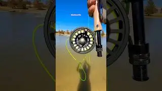Tips Using A fly Rod for fly fishing#fishing#tips#fish#shortvideo#viral#short#reel#youtubeshorts