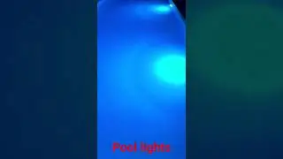 Pool lights #viralshort #pool #vacation #bsw #bestsistersworld