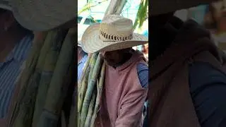 los tradicionales ca&ntilde;eros de amayuca Morelos  20-26 #tradiciones #amayuca # ca&ntilde;eros