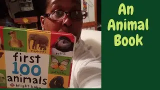 100 Animals Picture Book