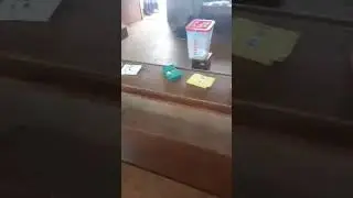 Ballot box stuffing allegations at Baho Public School in Bahamas #237vote