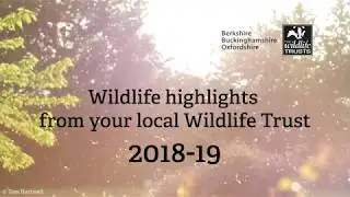 BBOWT wildlife highlights 2018-19