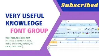Basic Knowledge of Excel in Font Group(font face font size font-increase & decrease bold italic etc)