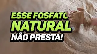 FOSFATO NATURAL: QUAL ESCOLHER PARA ADUBAÇÃO?