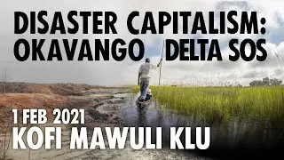 LIVE: Disaster Capitalism | Okavango Delta SOS