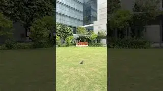 シンガポール医療系大学院生の一日