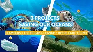 3 Global Projects To Save Our Oceans - feat. Mr.Beast & Jeff Bezos