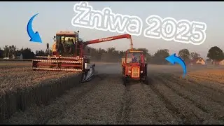 🚜ŻNIWA 2025🚜FIATAGRI LAVERDA 3500🚜|C360🚜NEWHOLLAND🚜ZETOR🚜|GR_ŻABA|