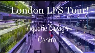 LFS TOUR LONDON - Aquatic Design centre