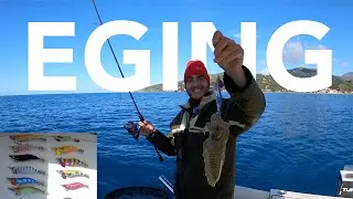 PESCA ALLE SEPPIE | Eging dalla barca.