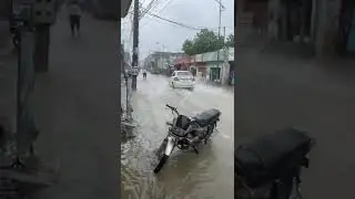 My Mansa city #mansa #punjab #pb31 #shortsvideo #shorts