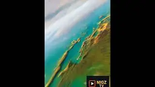 pet zoom #viral #shorts