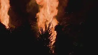 Pleasant Prairie celebrates New Year with Christmas tree bonfire