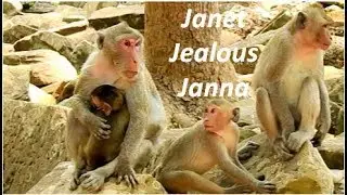 Brat Janet Jealous Baby Janna cos  since stop milk her Jane give milk Janna for always