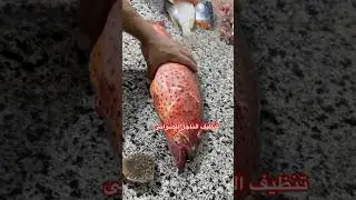 تنظيف الناجل للصوانى #مطبوخه #سمك #funny #اكل #عشاءلذيذ #طبخ #النظافه #اكسبلور #fish #ا #food