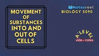 Movement Of Substances into and Out of Cells | A Level Notes Biology 9700
