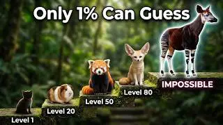 Guess the 30 Animal Name | Easy to Hard Animal Quiz
