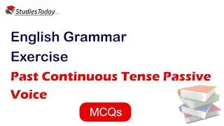 Past Continuous Tense Passive Voice English Grammar Quiz