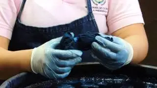 Teñido en Añil