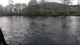 Dunkeld House Salmon Fishing