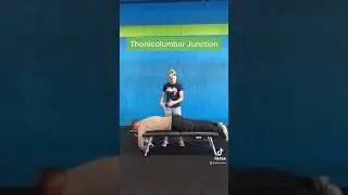 Thoracolumbar Junction Soft Tissue