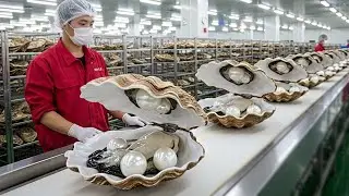 Inside the Pearl Factory &ndash; How Raw Oysters Become Luxury Fashion | FULL PROCESS