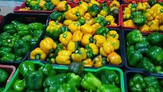 Tour Our Bell Pepper Greenhouses & Fish Farm I Dominion Integrated Farms Nigeria