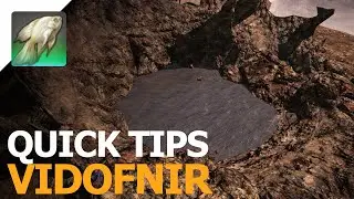 Quick Tips - Catching Vidofnir in FFXIV