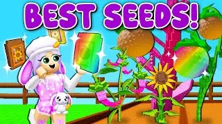 Получите ЛУЧШИЕ СЕМЕНА в игре «ВЫРАЩИВАЙ САД»! (Roblox)