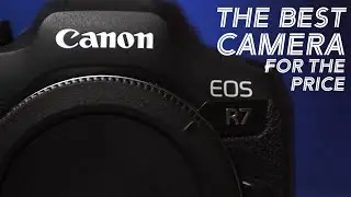 Canon R7 After 60,000 Photos! The Best Camera for the Price